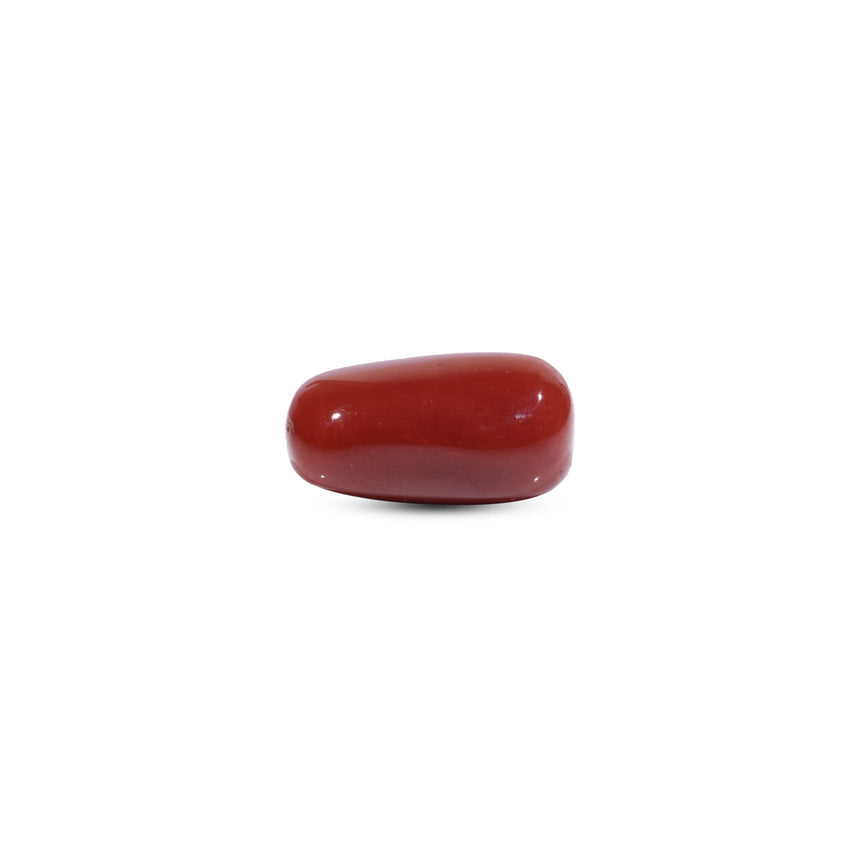 Red Coral - 8.5 Carat