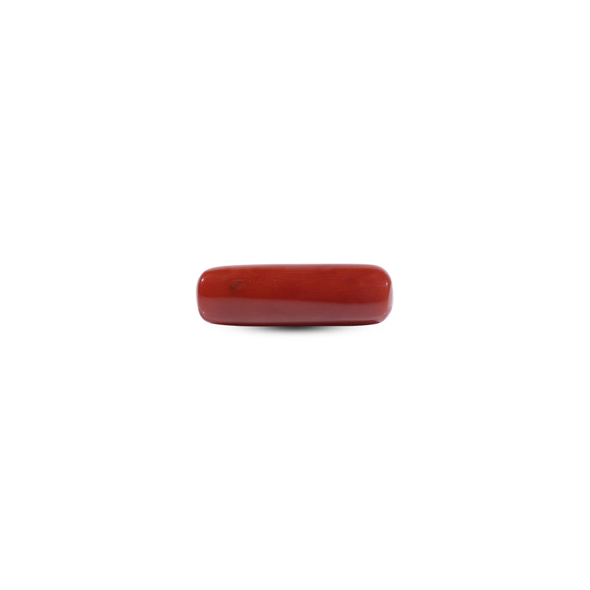 Red Coral - 8.35 Carat