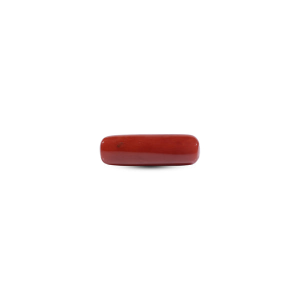 Red Coral - 8.35 Carat