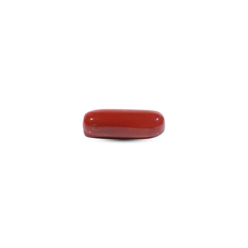 Red Coral - 7.35 Carat