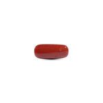  Red Coral - 10 Carat - Pramogh