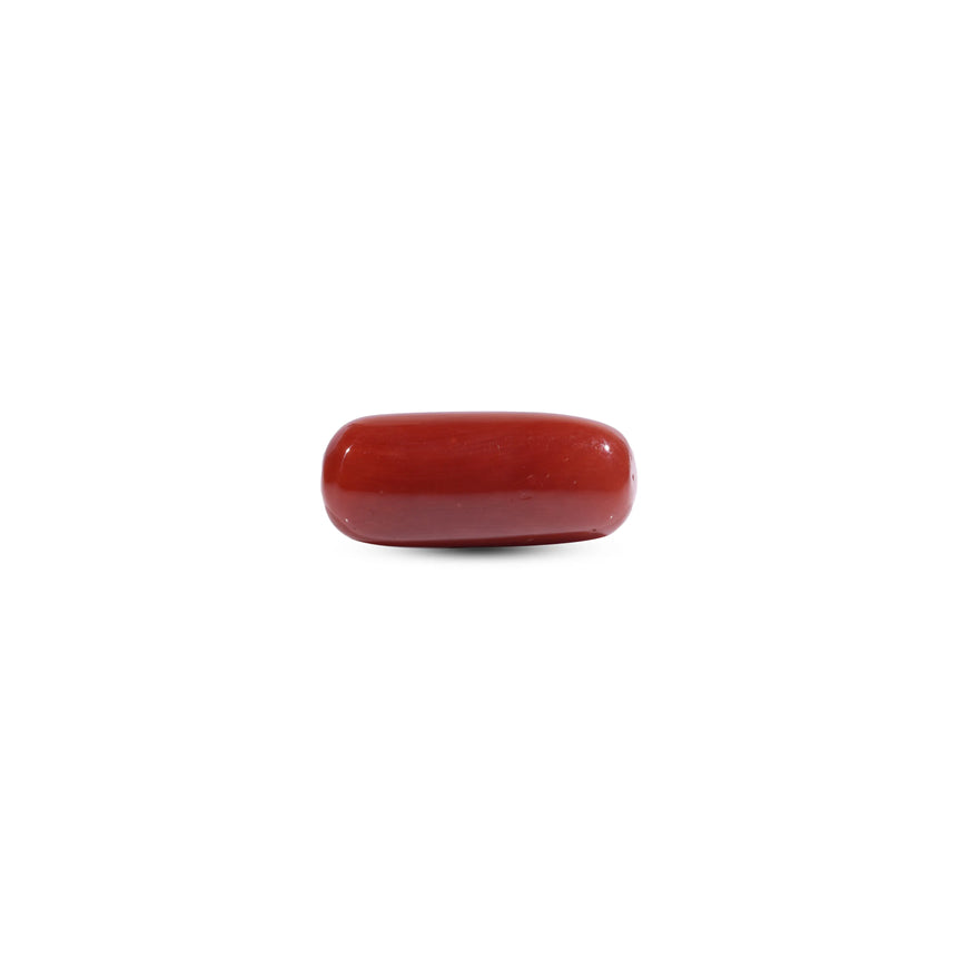 Red Coral - 10 Carat