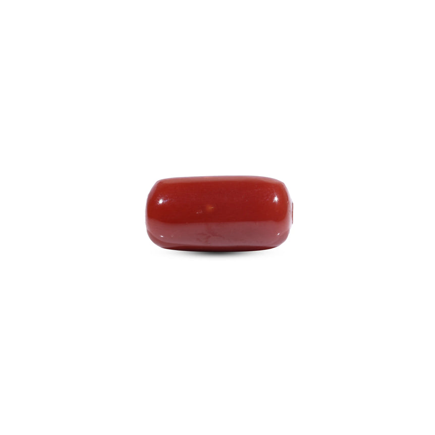  Red Coral - 9.75 Carat - Pramogh