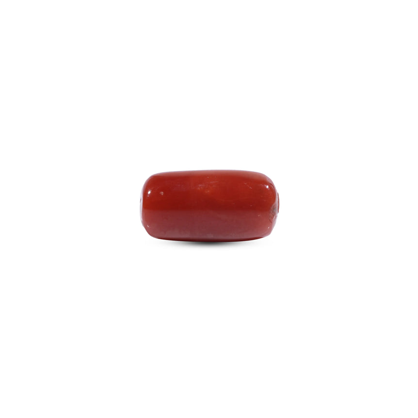 Red Coral - 9.75 Carat