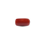 Red Coral - 9.75 Carat