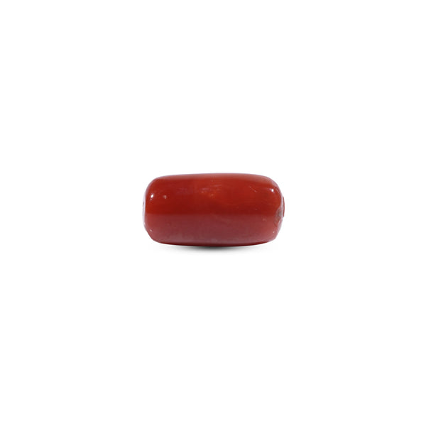 Red Coral - 9.75 Carat