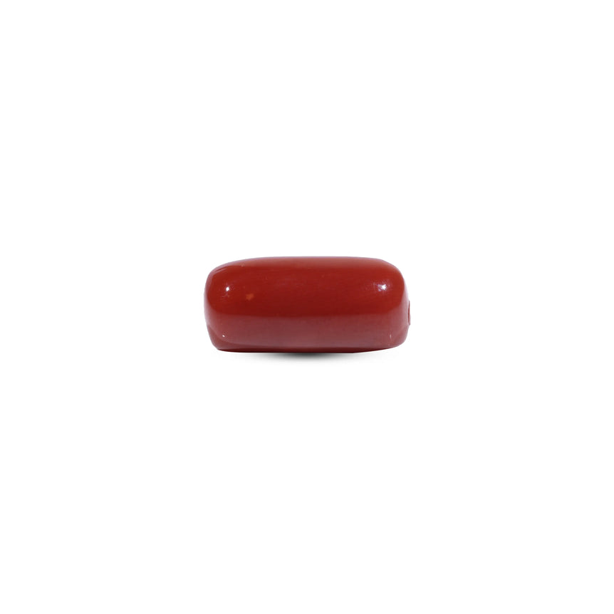 Red Coral - 9.75 Carat