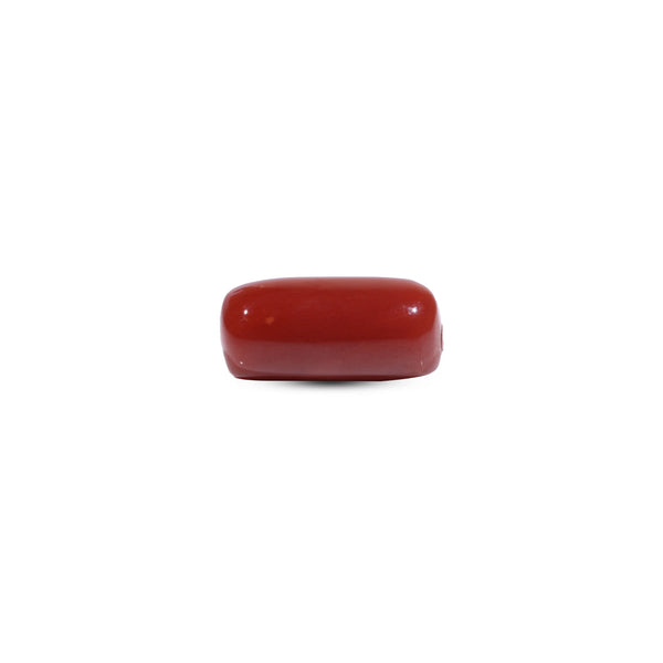 Red Coral - 9.75 Carat