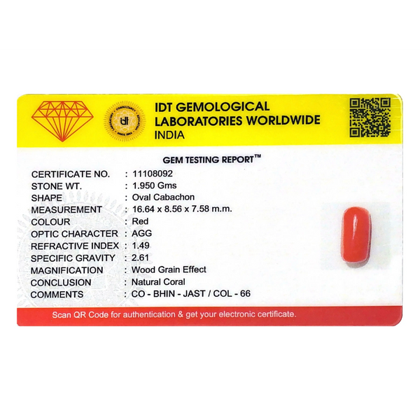 Red Coral - 9.75 Carat