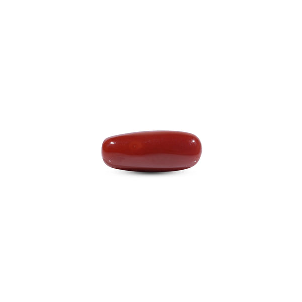  Red Coral - 8.1 Carat - Pramogh