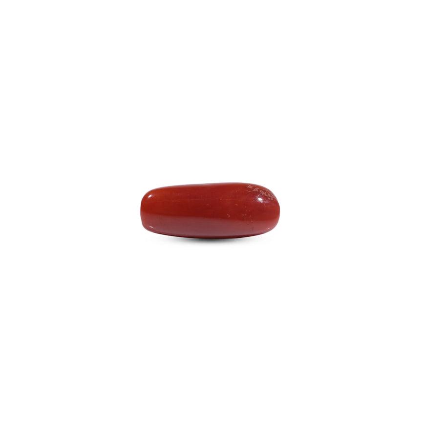 Red Coral - 8.1 Carat