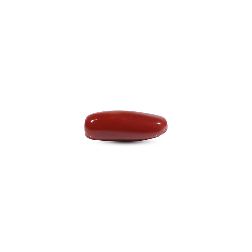 Red Coral - 8.1 Carat