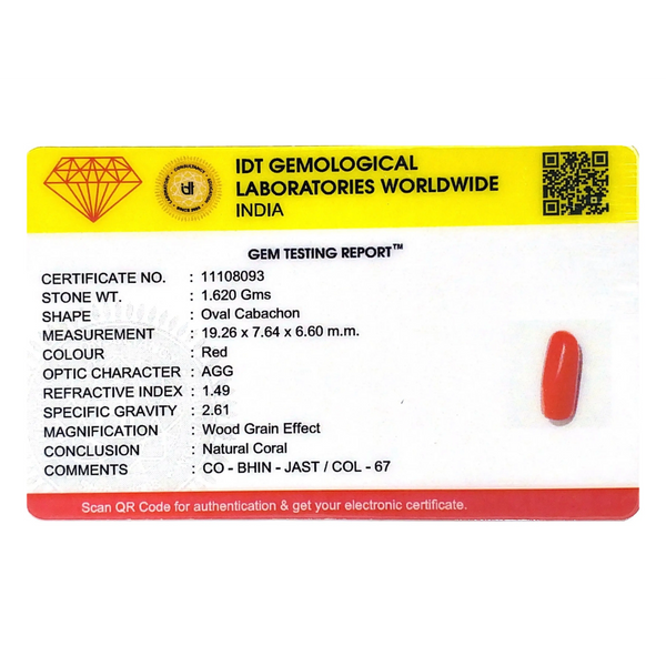 Red Coral - 8.1 Carat