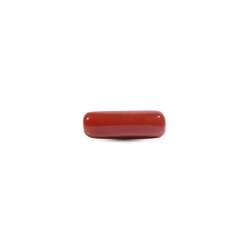  Red Coral - 7.05 Carat - Pramogh