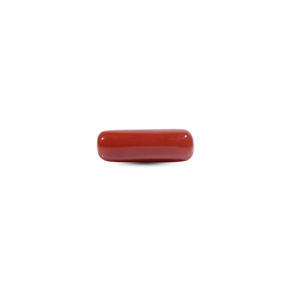  Red Coral - 7.05 Carat - Pramogh