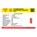 Red Coral - 7.05 Carat