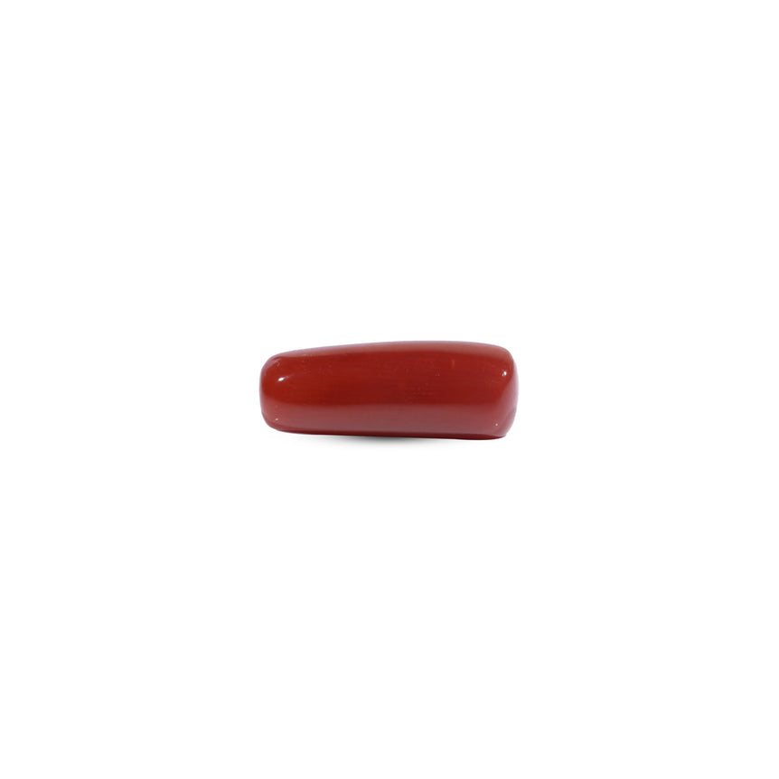 Red Coral - 8.1 Carat
