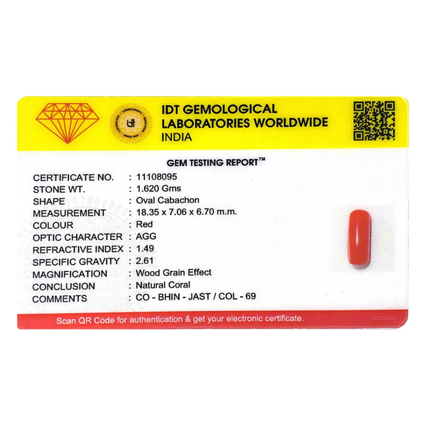 Red Coral - 8.1 Carat