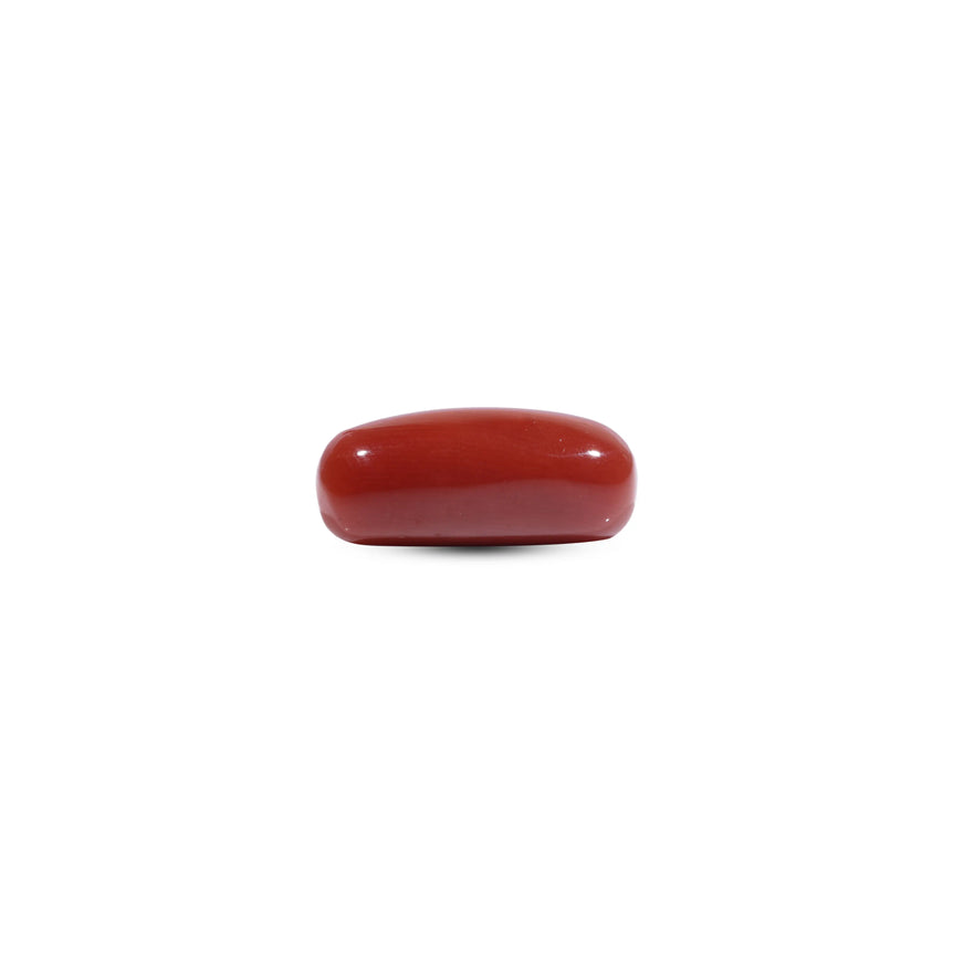  Red Coral - 7.35 Carat - Pramogh