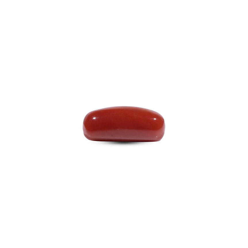 Red Coral - 7.35 Carat