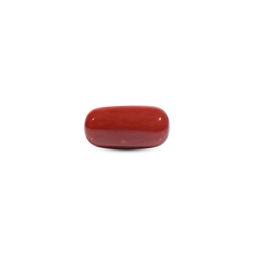  Red Coral - 8.2 Carat - Pramogh