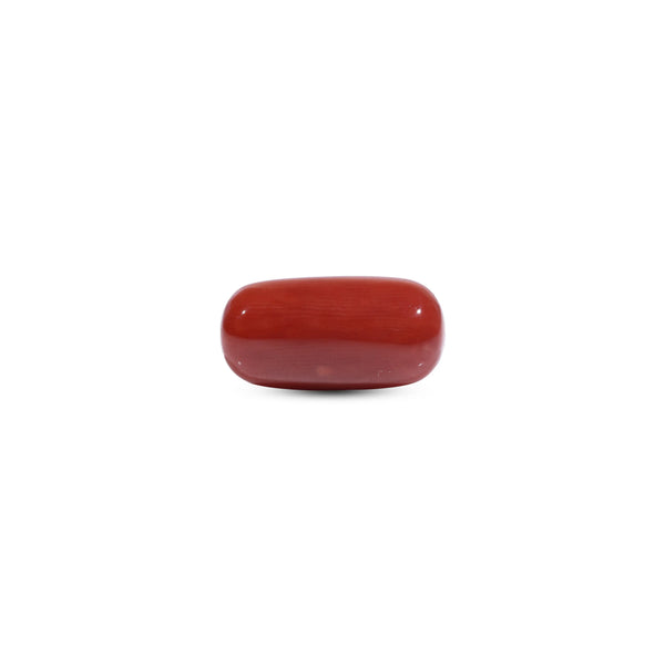  Red Coral - 8.2 Carat - Pramogh