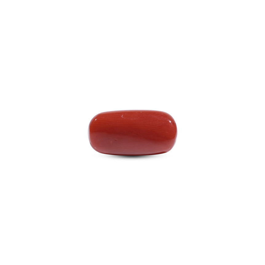 Red Coral - 8.2 Carat