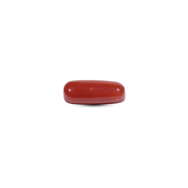 Red Coral - 8.2 Carat