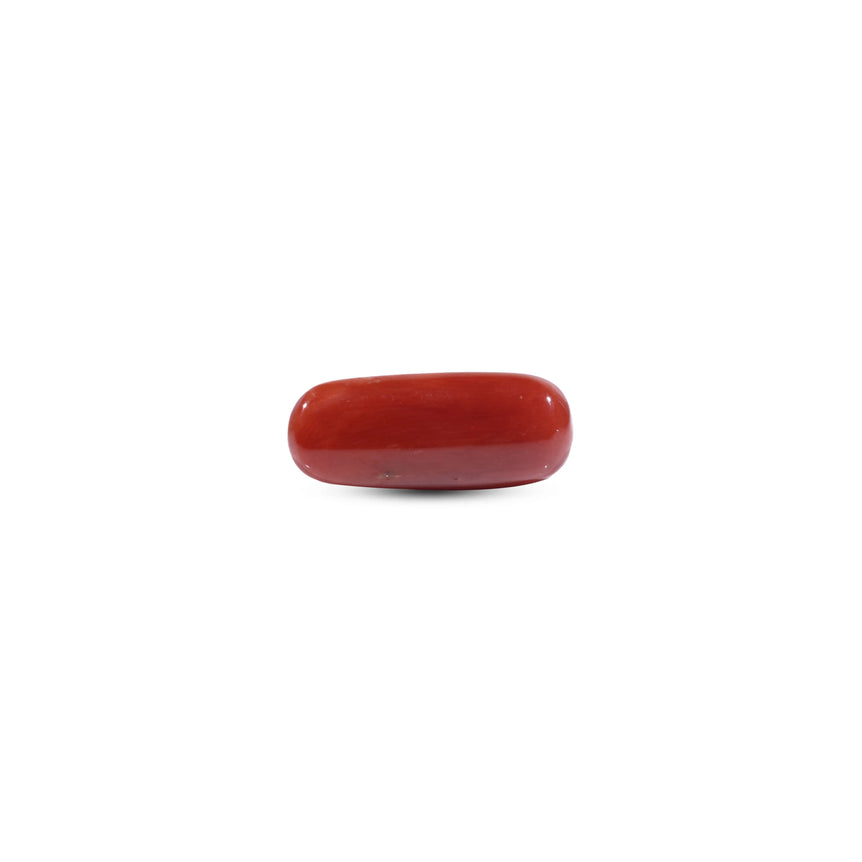  Red Coral - 8 Carat - Pramogh