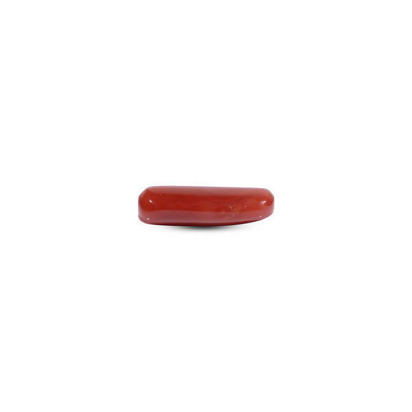 Red Coral - 8 Carat