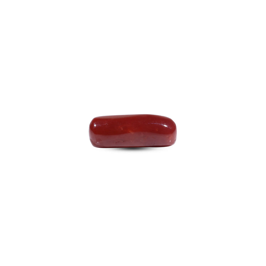  Red Coral - 7.45 Carat - Pramogh