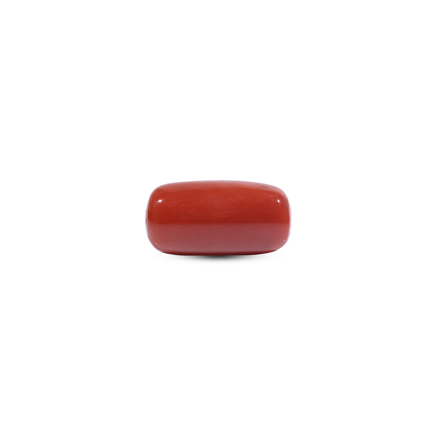 Red Coral - 8.8 Carat