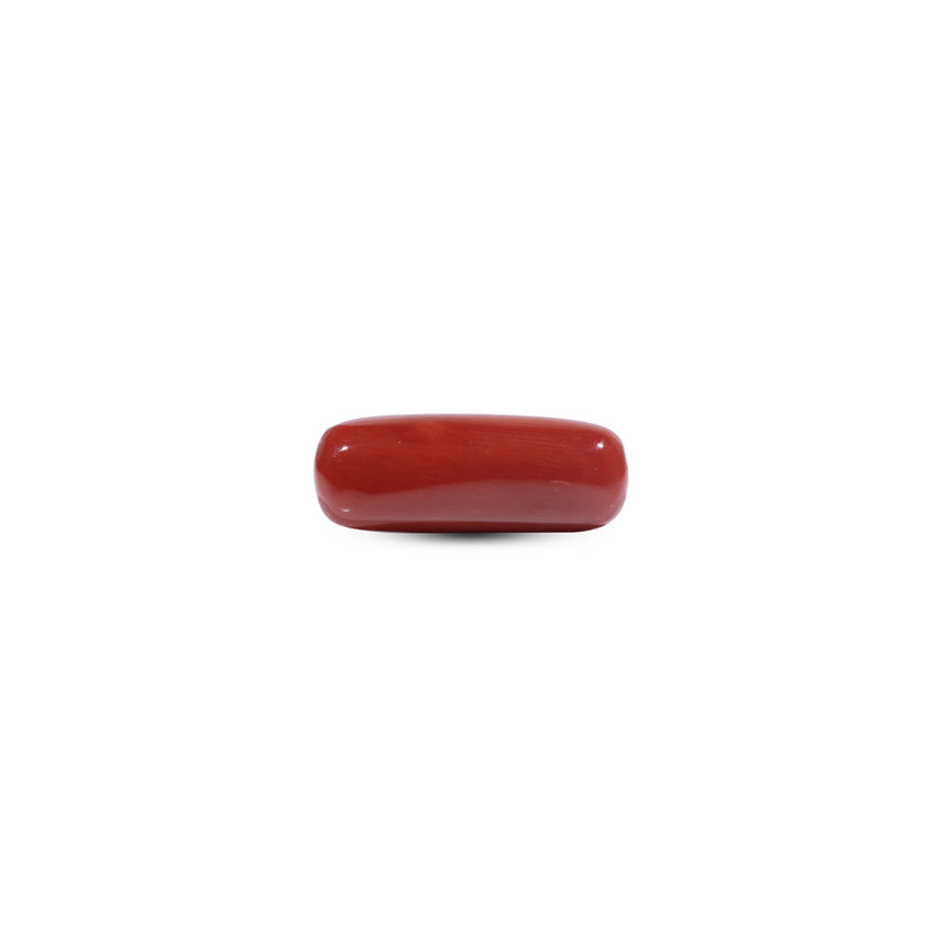  Red Coral - 8.6 Carat - Pramogh