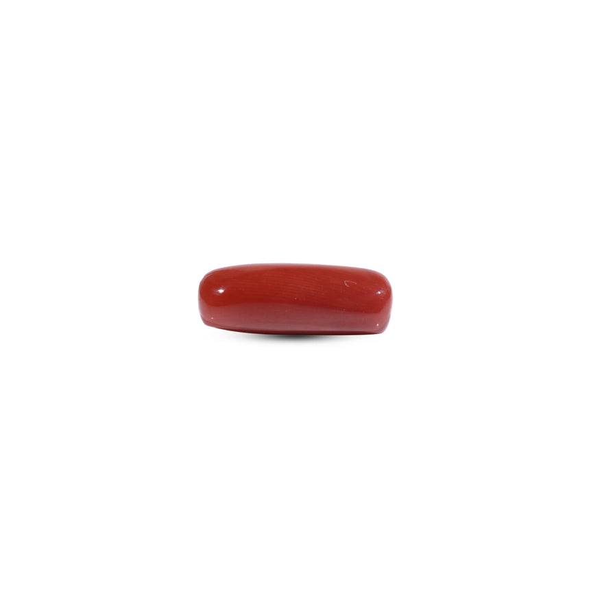 Red Coral - 8.6 Carat