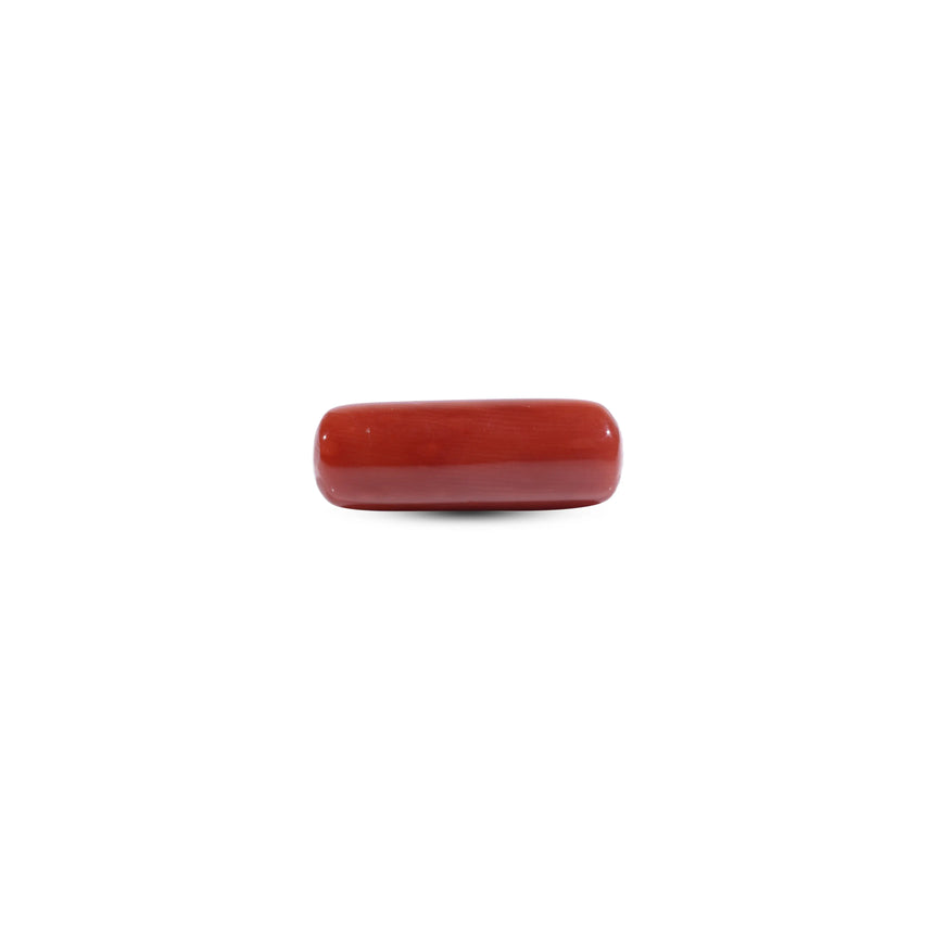 Red Coral - 7.05 Carat