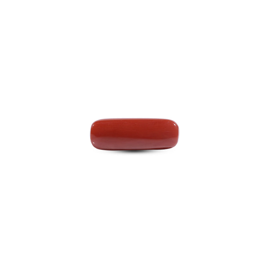 Red Coral - 8.4 Carat