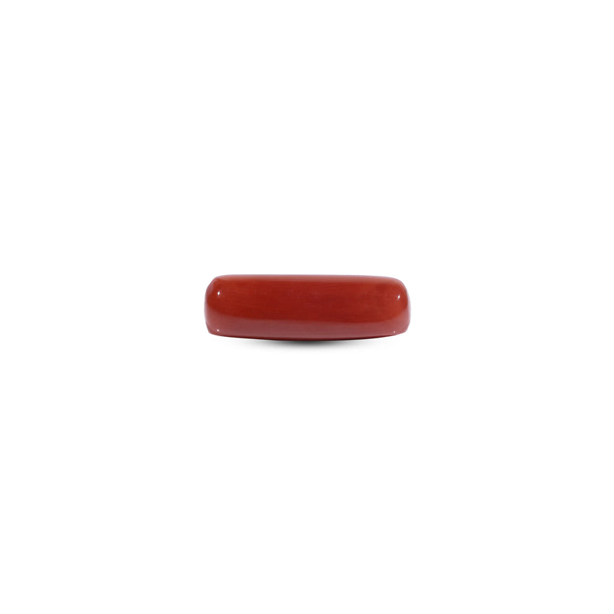 Red Coral - 8.4 Carat