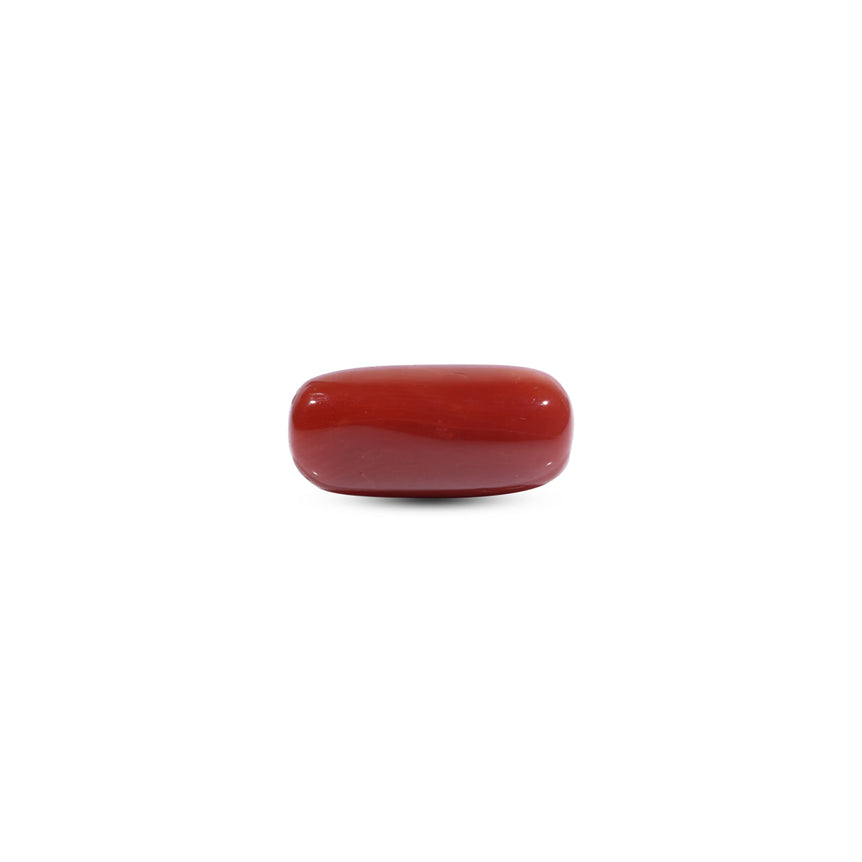  Red Coral - 12.45 Carat - Pramogh