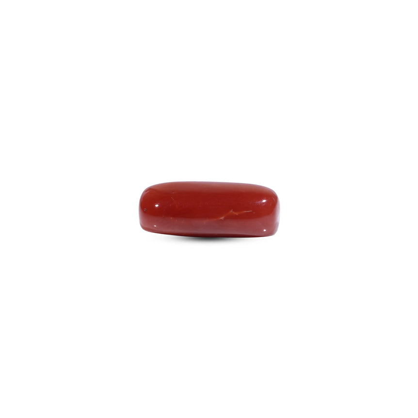 Red Coral - 12.45 Carat