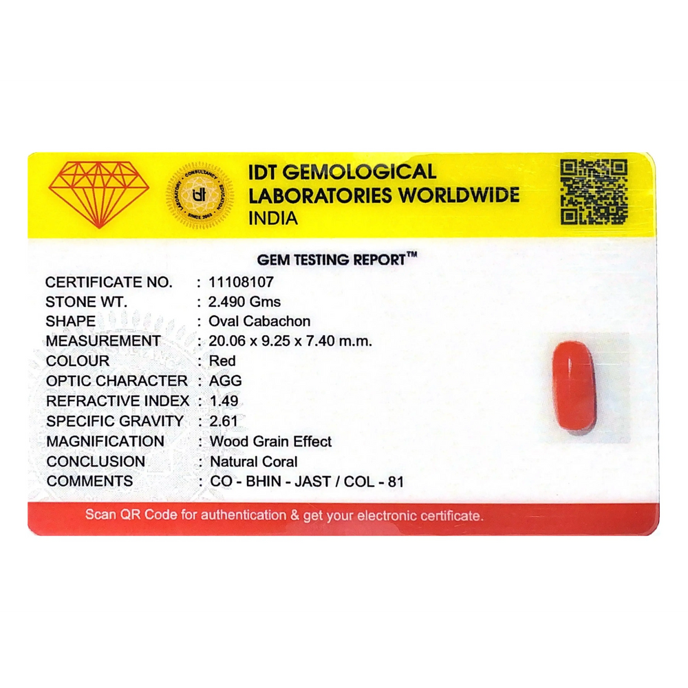 Red Coral - 12.45 Carat