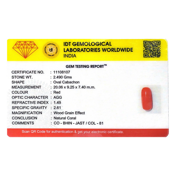 Red Coral - 12.45 Carat