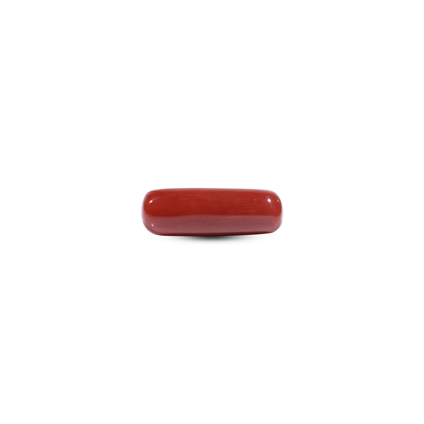  Red Coral - 7.05 Carat - Pramogh