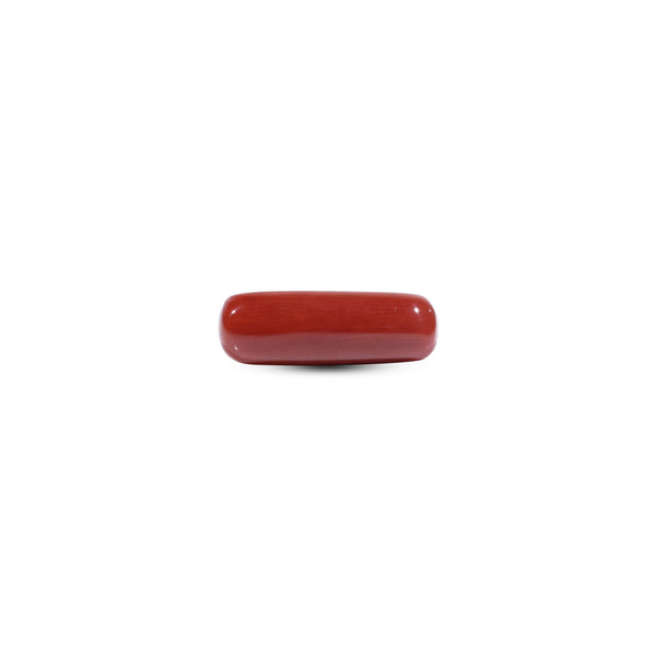  Red Coral - 7.05 Carat - Pramogh
