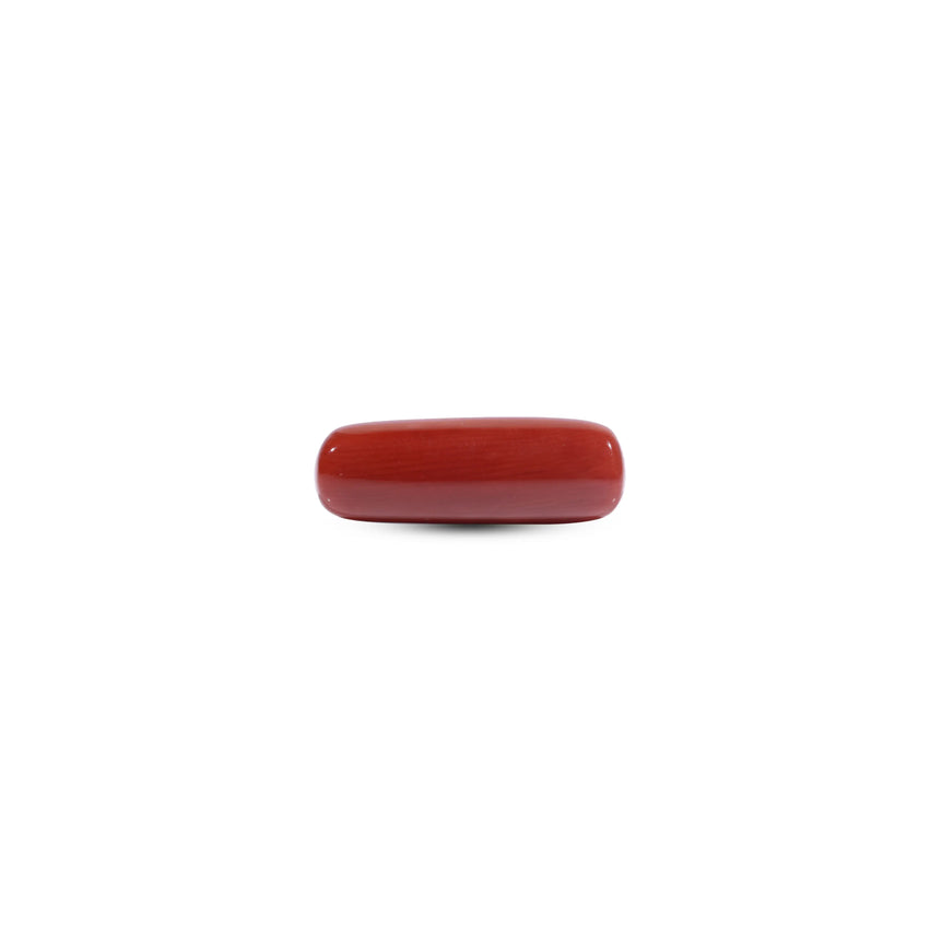 Red Coral - 7.05 Carat