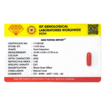 Red Coral - 7.05 Carat