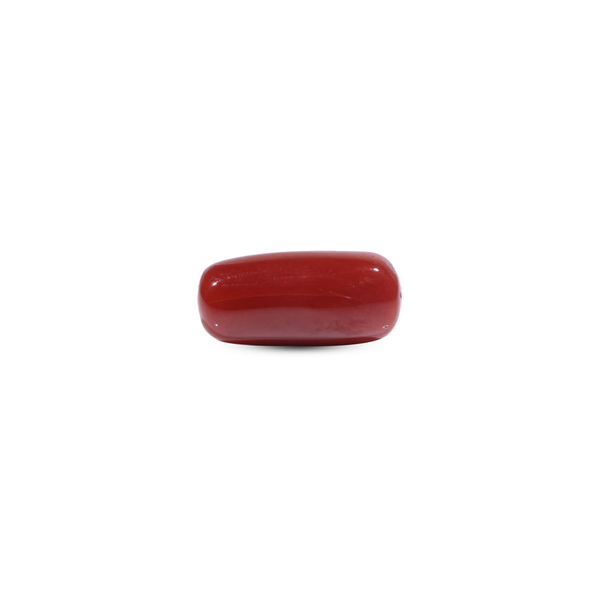  Red Coral - 7.7 Carat - Pramogh