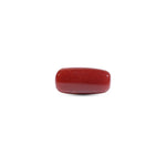 Red Coral - 7.7 Carat
