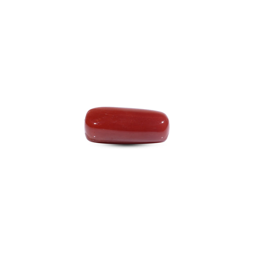 Red Coral - 7.7 Carat