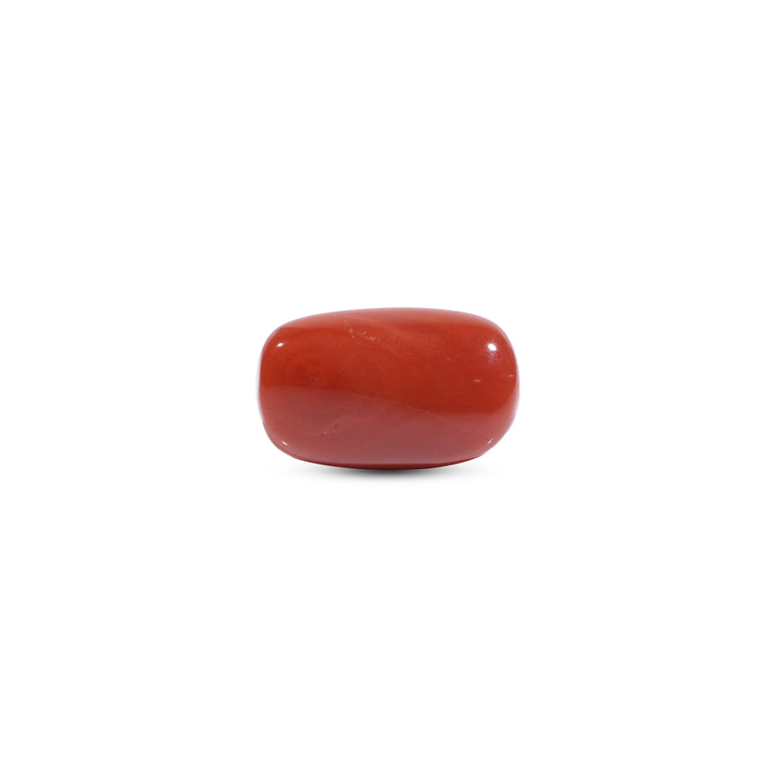 Red Coral - 7.75 Carat