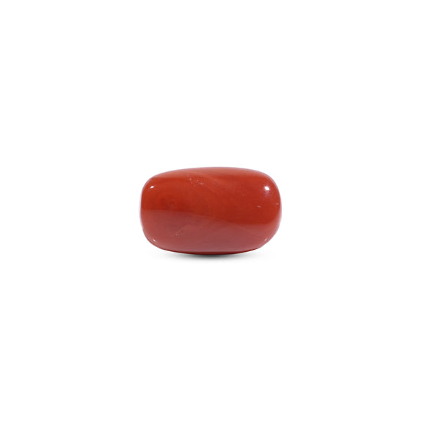 Red Coral - 7.75 Carat
